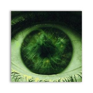 Può includere: Primo piano di un occhio verde con un'iride dettagliata e testurizzata. L'occhio è circondato da una palpebra e ciglia di colore verde scuro.