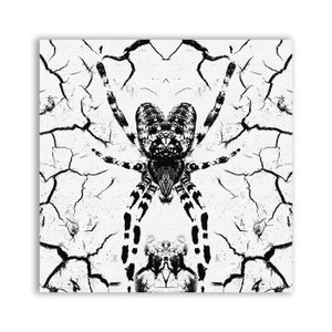 Disturbed Web Patch