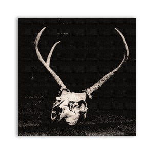 Deer Skull Patch