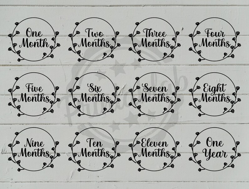 35 Flower Baby Milestone Rounds Svg Birth Announcement Svg Etsy