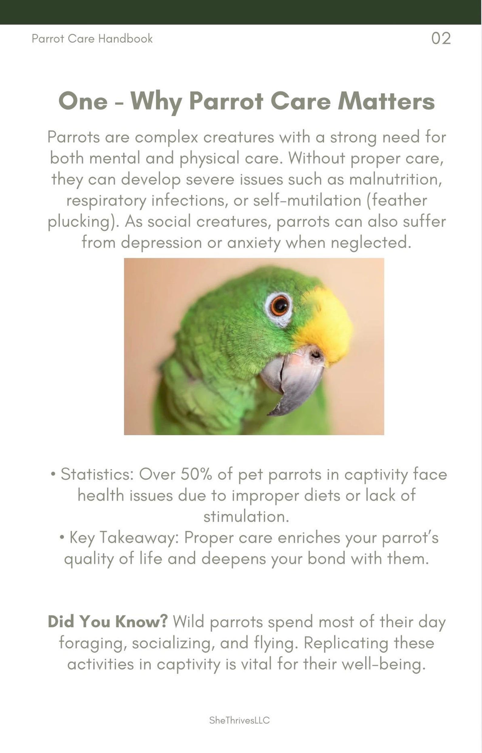 The Ultimate Parrot Care G…