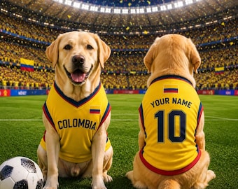 Personalized Columbia Mesh Dog Jersey, Custom Name Dog Sport Outfit, Columbia Soccer Pet Clothes, Pet Lovers Gift, Sportwear Pet Jersey