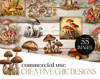 Vintage Mushrooms, Commercial Use Clipart, Mushroom Clipart, Vintage Ephemera, Junk Journal Digital, Vintage Clipart, Commercial Use, png