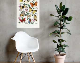 Unique Butterfly and Moth Art Print - Artist Paul Gervais -  Colourful Wall Print -  Maximalist Decor