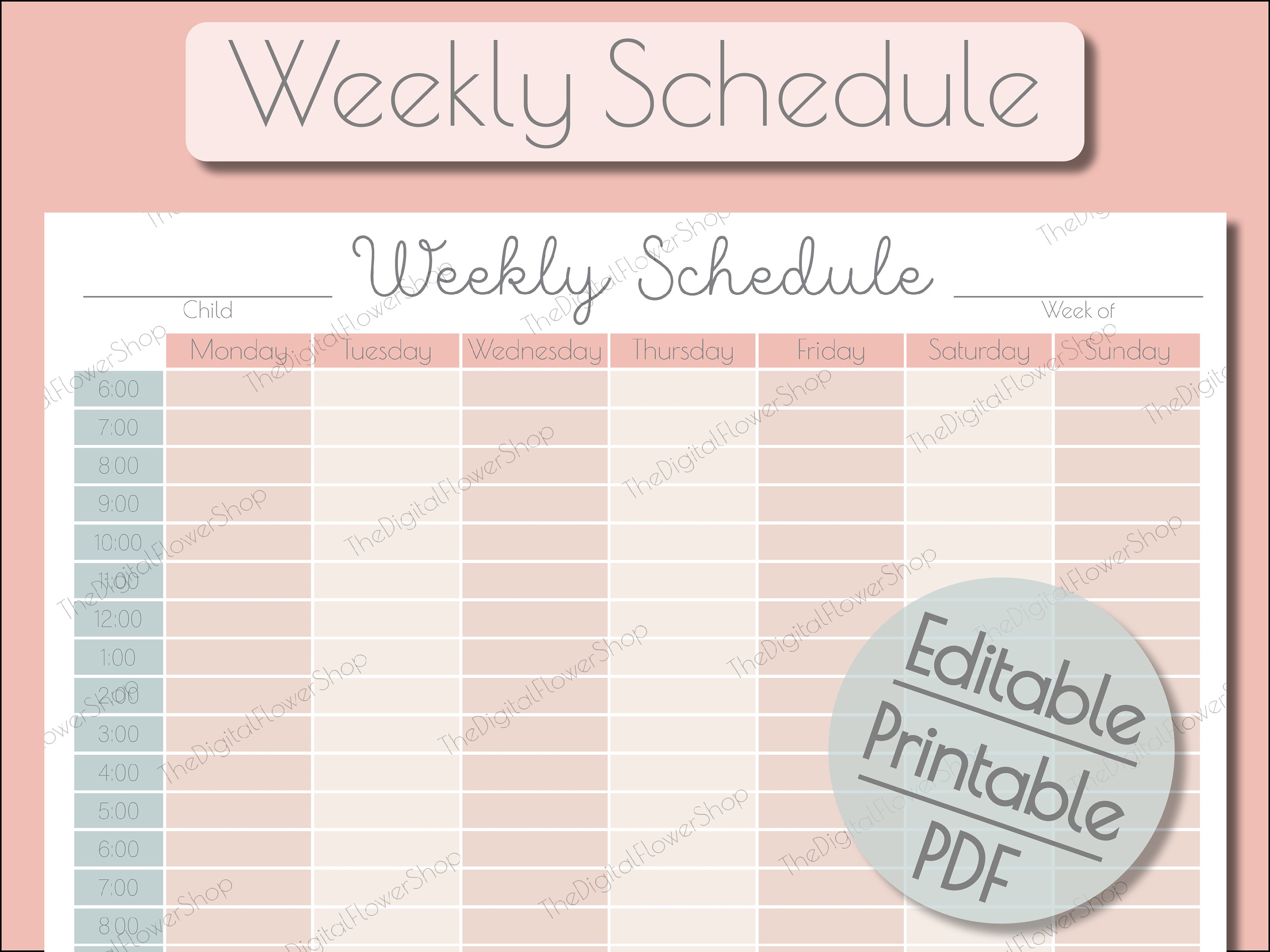 Cute Hourly Schedule Template