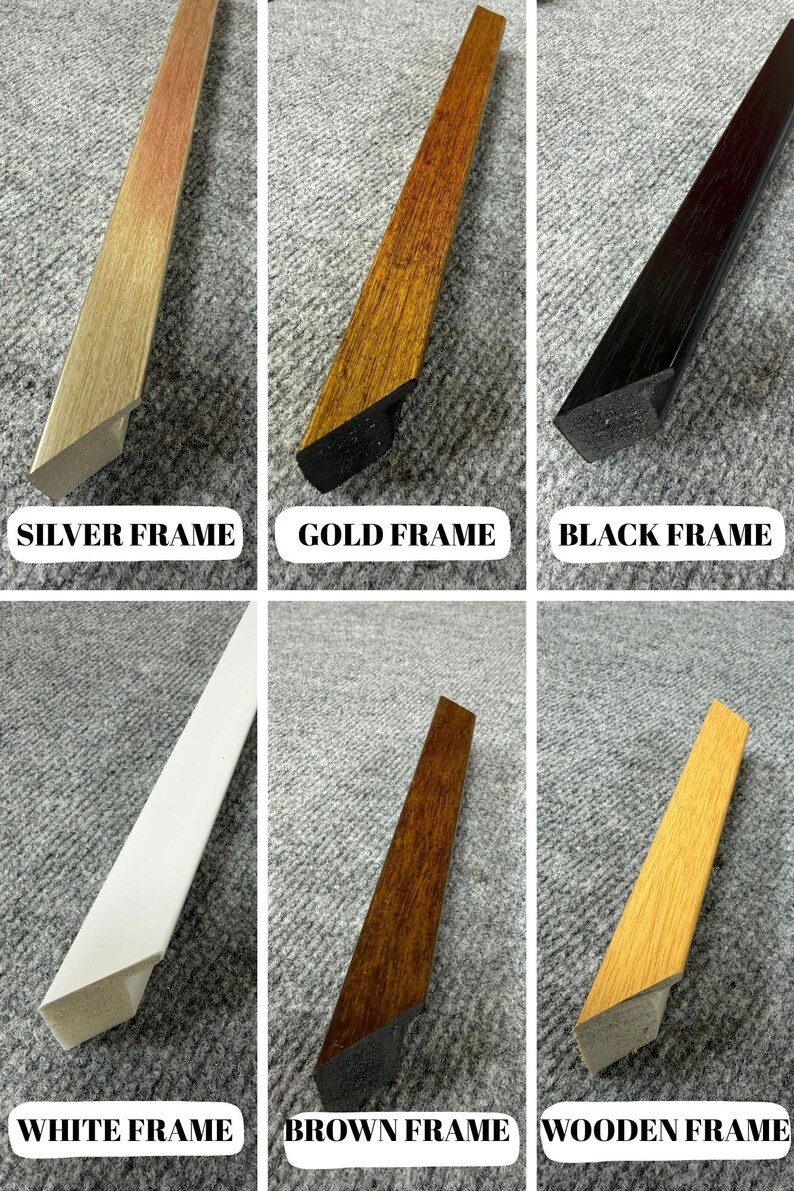 six different types of frames, each with a distinct color and material, arranged in a grid format.
