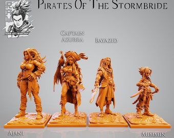 Pirates of The Stormbride by Ronin Arts Workshop