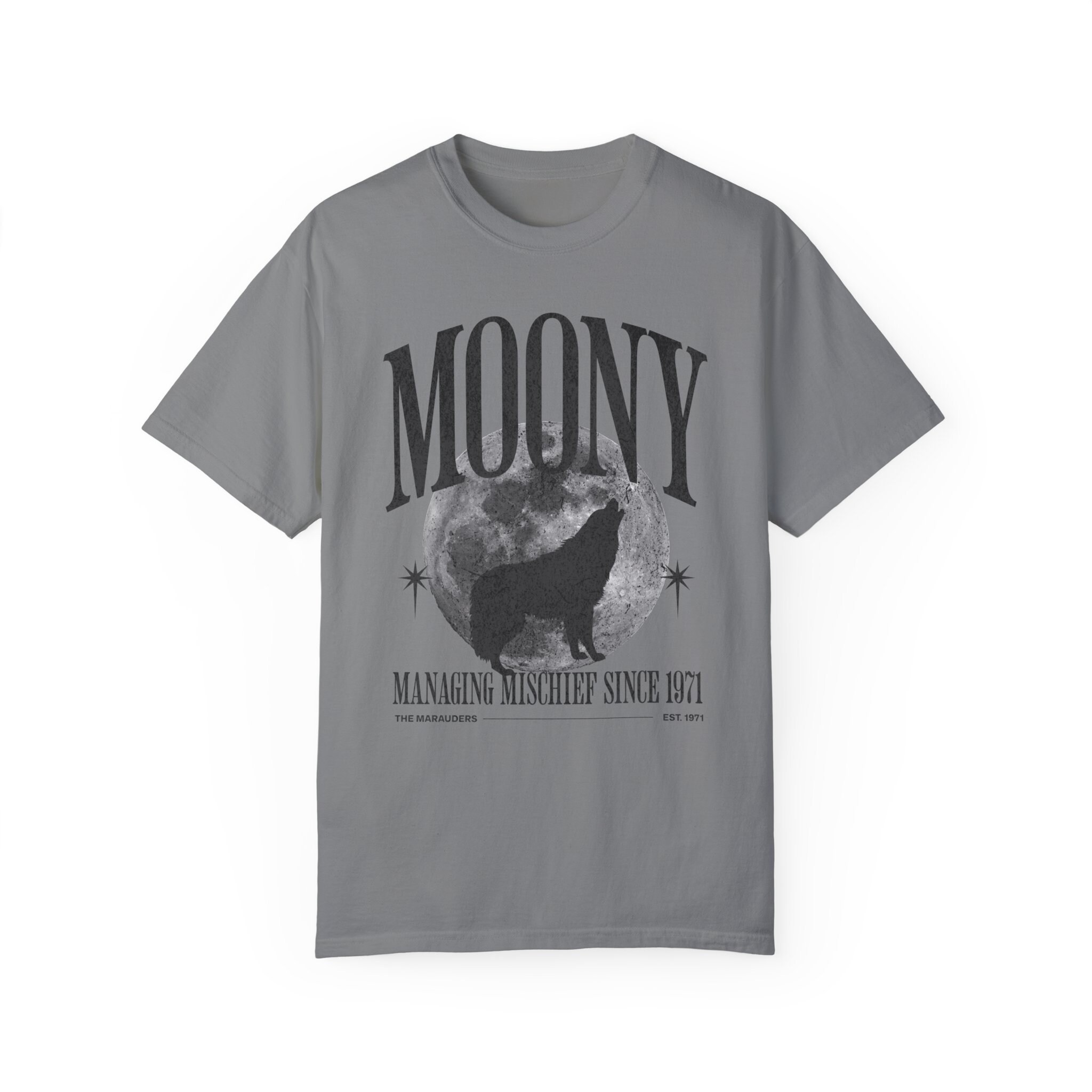 The Marauders Shirt All the Young Dudes Shirt Dark Academia Shirt
