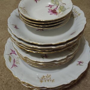 Treasure Chest Bavaria Germany China Dinnerware. Pattern: Aloha