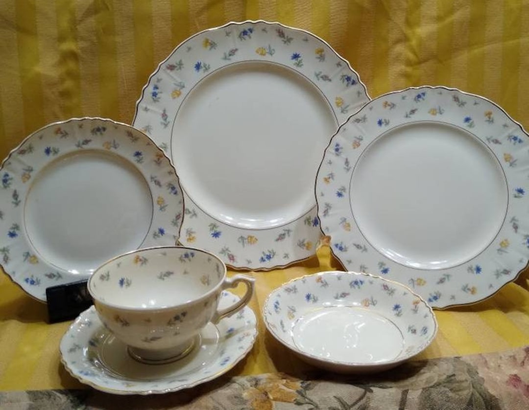 Federal Shape Syracuse China. Pattern Suzanne. 6 Piece Place Settings