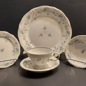 Johann Haviland Blue Garland. Bavaria Germany. Various Pieces.