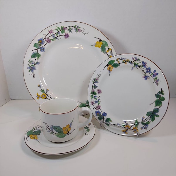 Citation China. Made in China. Pattern: Woodhill. Place settings and extra pieces.