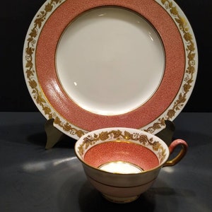 Wedgwood Bone China. Made in England. Pattern: Whitehall (Powder Ruby Band). Dinner Plates and Cups sold separately.