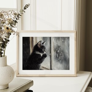 Cute kitten looking at rain through a window.