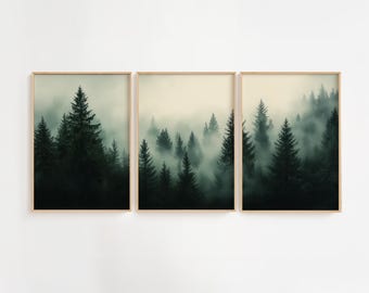 Puede incluir: Un conjunto de tres impresiones enmarcadas que muestran una escena de bosque brumoso con árboles altos de color verde oscuro. Las impresiones están dispuestas en una fila horizontal, con la impresión del medio ligeramente más grande que las dos a cada lado.