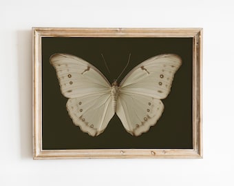 Vintage Butterfly Print: Dark Green Cottagecore Wall Art (Digital Download)