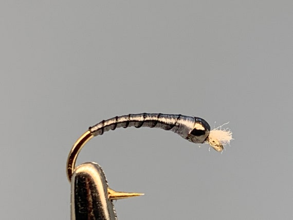 Set of Blue Dun Chironomids Canada