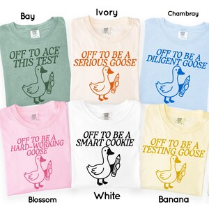May include: Six different-colored t-shirts with a goose graphic holding a pencil. Each shirt has a different phrase: "Off to Ace This Test", "Off to Be a Serious Goose", "Off to Be a Diligent Goose", "Off to Be a Hard-Working Goose", "Off to Be a Smart Cookie", and "Off to Be a Testing Goose".