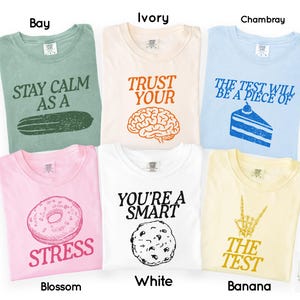 Comfort Colors Test Day Shirt, Teacher Testing Shirts, State Testing staar Teacher Tshirt, Testing Coordinator Life Tee, Teacher Team TShirt