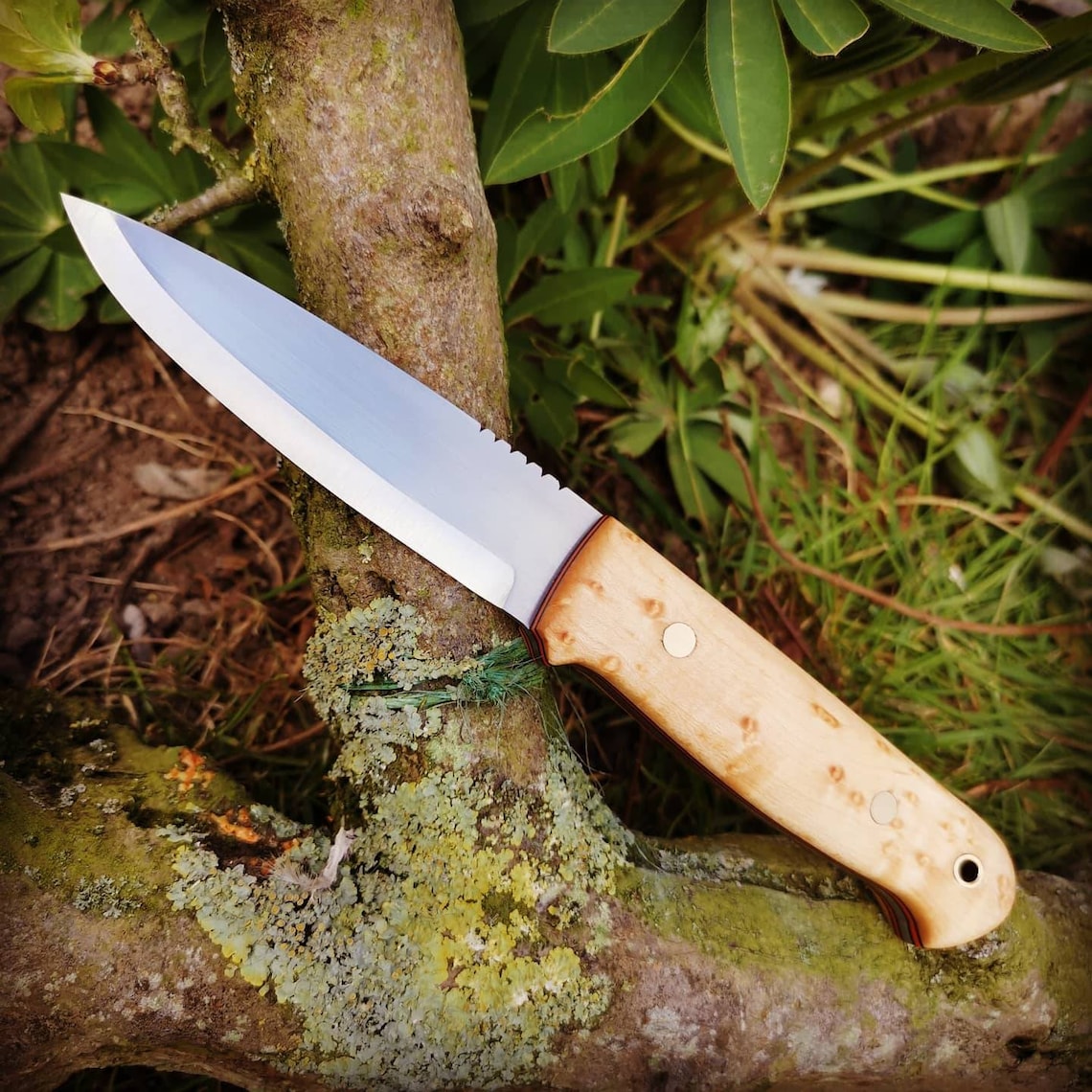 Bushcraft Knife 'Woodlore' Style in 80CrV2 Etsy
