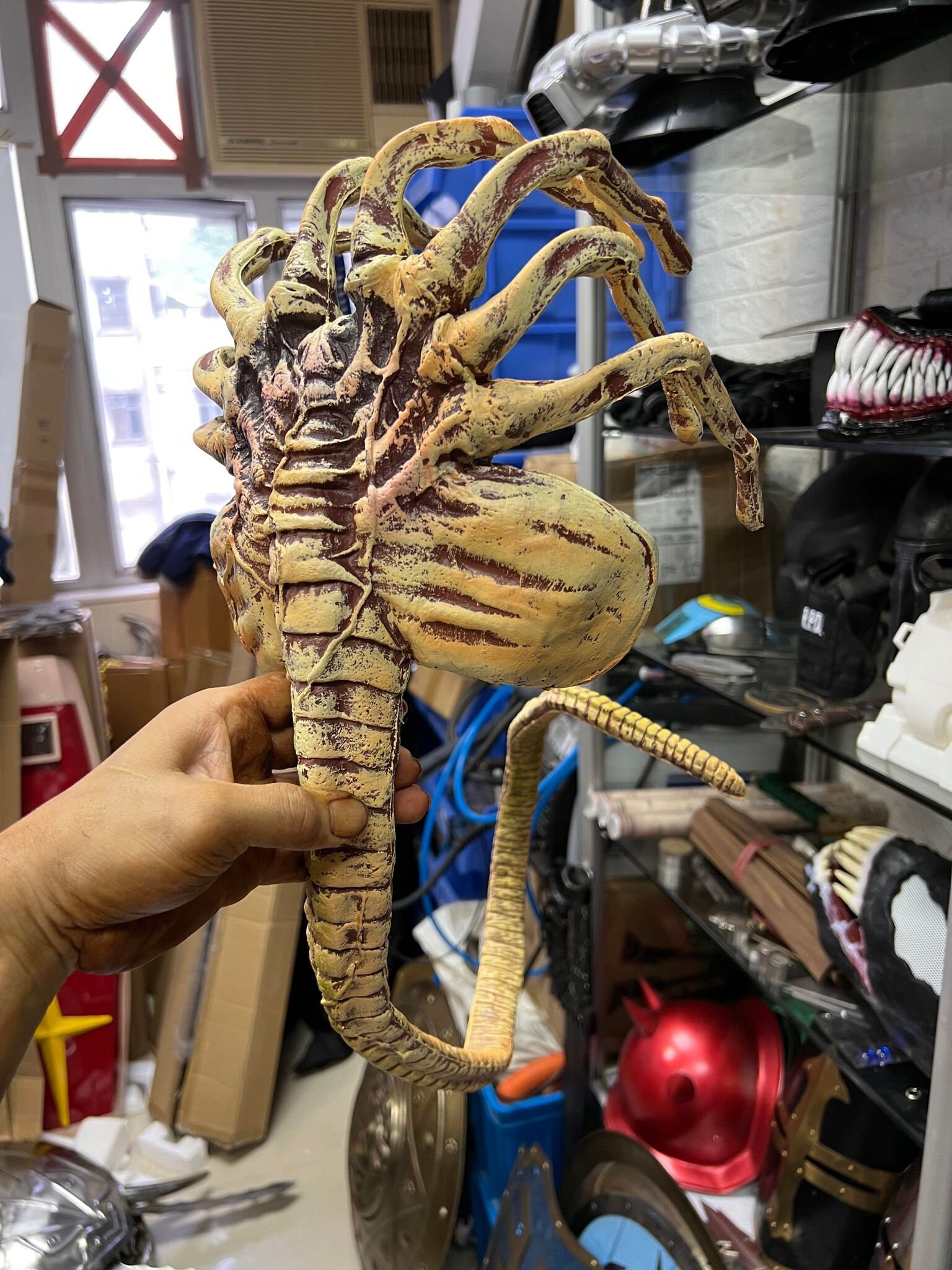 Alien Worm Predator AVP Covenant Face Hugger Poseable Replica Etsy UK