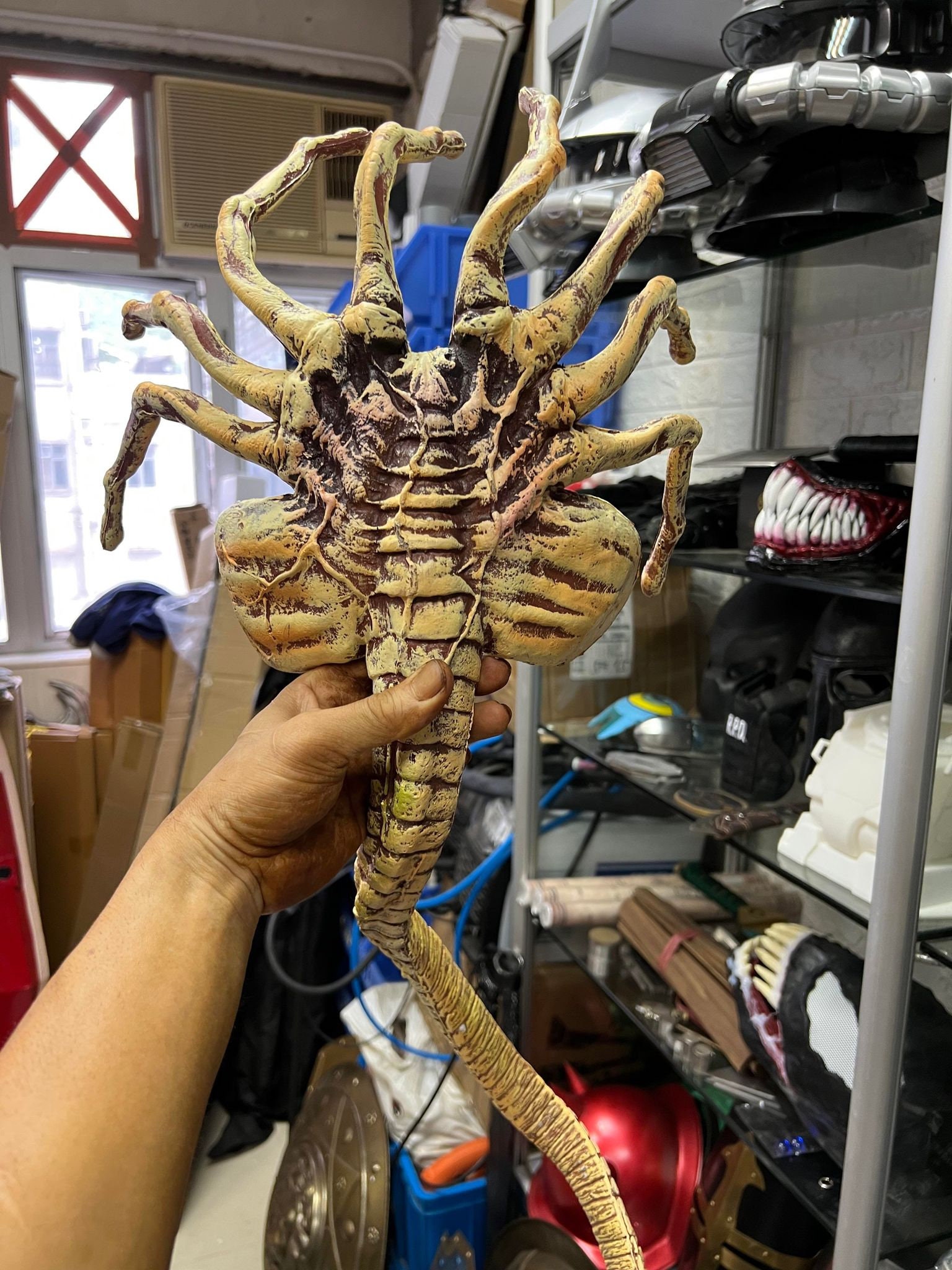 AvP Hunter Edition Facehuggers are all broken – Destructoid