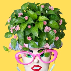 Rolig växthållare med "Pot Head"-motiv