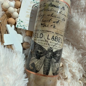 Butterflies beetles, antique 20 oz epoxy tumbler
