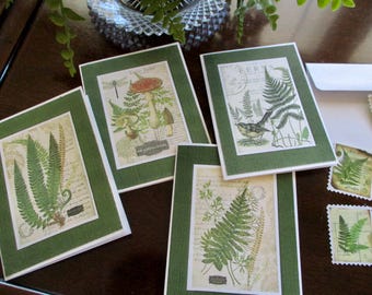 S/8 Botanisches Farn-Grußkartenset: A1 Blanko-Notizkarten mit Siegeln
