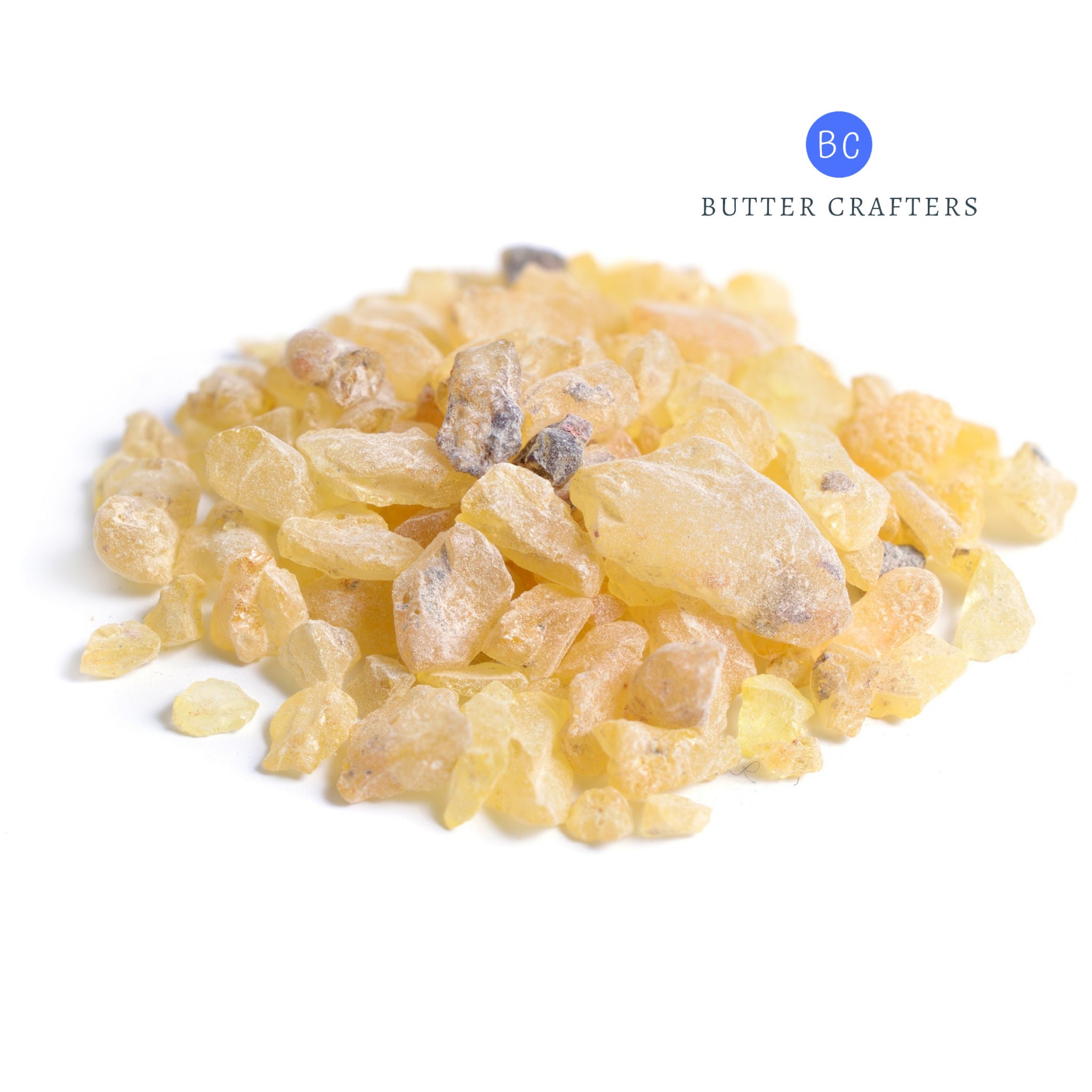 смолой запахли. смолой запахли. живица сосны. смолистый запах. хвойная живица.