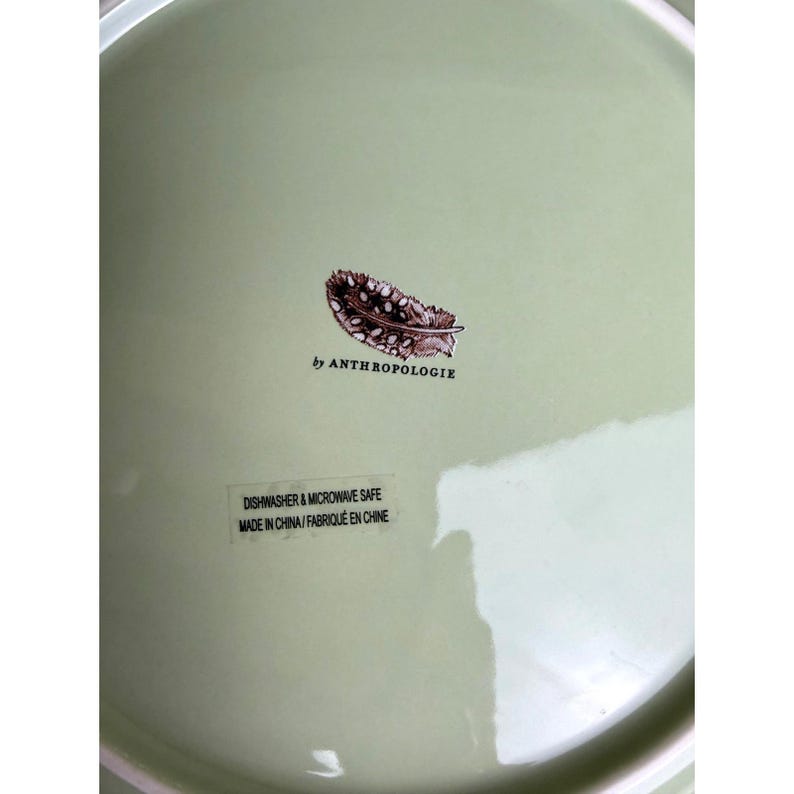 Anthropologie Elin Moss Stoneware Dinner Plate – Sage Green – 10” Botanical Design imagem 5