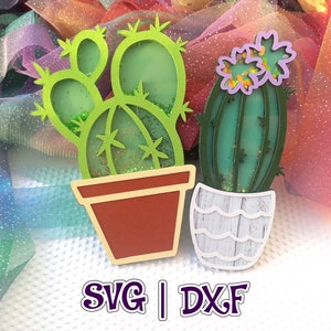 Paquete Cactus Shaker / 2 en 1 / SIN diseño de cinta de espuma / 3D / Tarjeta / Cake Topper / Decoración de fiesta / Decoración del hogar / SVG y estudio / Archivo digital