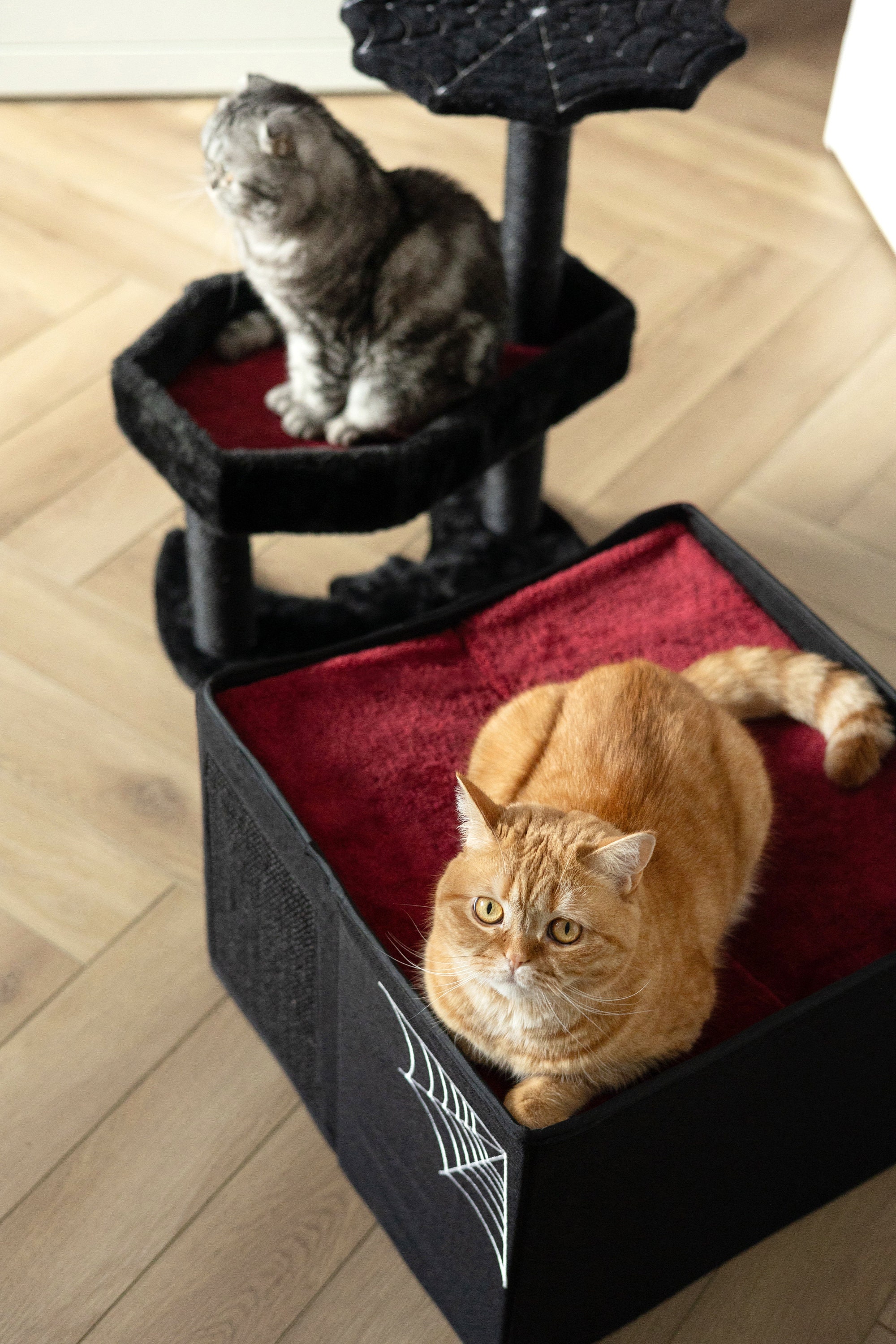 Cat Halloween House Gothic Cat Bed For Indoor Cats Or Pets