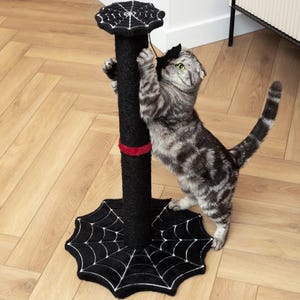 Gothic Cat Scratching Post 28 inch with Sturdy Spider Web Floor Foundation and Spider web Shaped Top with Bat Toy, Black Color
