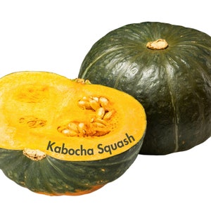 Kabocha Squash Seeds  (Japanese Pumpkin - Winter Squash) FREE SHIPPING (10 Total)