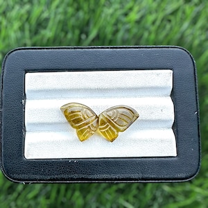 Bi-Color Tourmaline Carved Butterfly Gemstone: 16x11mm Carving Wings