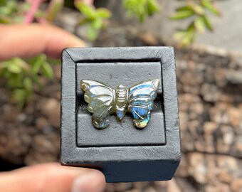 May include: A butterfly-shaped labradorite gemstone carving featuring iridescent blue and gold flashes, securely mounted in a square black display holder. The stone exhibits a polished surface with detailed wing etchings and natural color variations.
