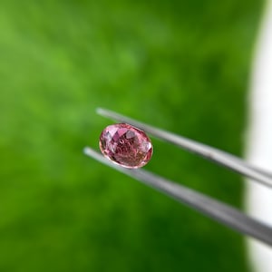 Pink Tourmaline Natural | 4.75ct (12.4x10.2x6.2)mm | Oval Cut best for jewelry | Faceted Loose Gemstone |Faceted Tourmaline Oval Cut Faceted