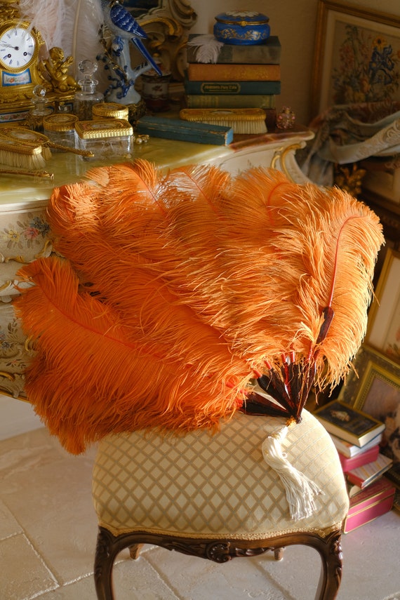 Antique Edwardian  Ostrich Feather Hand Fan Burles