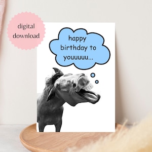 Afdrukbare wenskaart paard. Grappig paard stripboek verjaardag. digitale paardenkaart. DIGITALE DOWNLOAD 5 x 7. Verjaardagswensen. Fijne verjaardag.