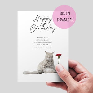 Grumpy Cat Printable Card. Funny Cat Birthday Wishes Instant - Etsy