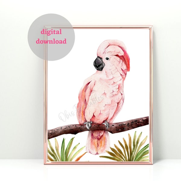 Pink Cockatoo Wall art. Leaf. Digital download. Exotic bird. Bedroom. Child's room. Sitting parrot. Watercolour. Printable wall art. Parrot.