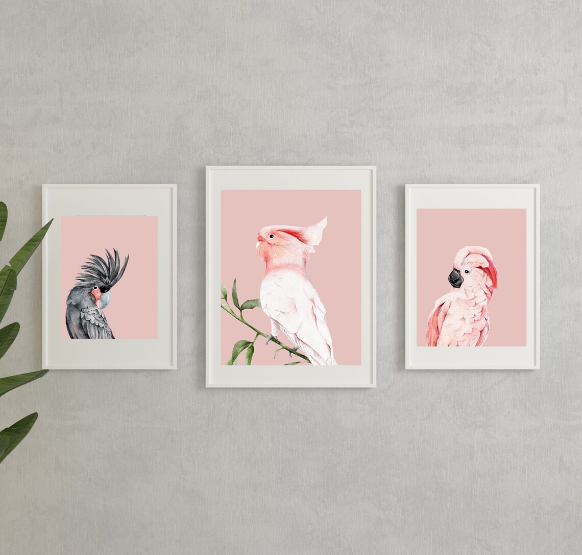 Print Medium Pink Cockatoo - Eggpicnic main image 1