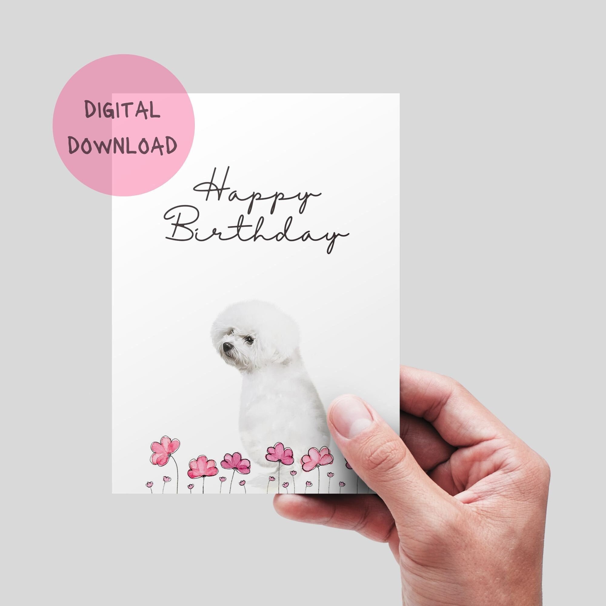 【激レア品】犬　ビションフリーゼ メッセージカード ビション・フリーゼのカード。犬の誕生日カード。ハッピーバースデー
