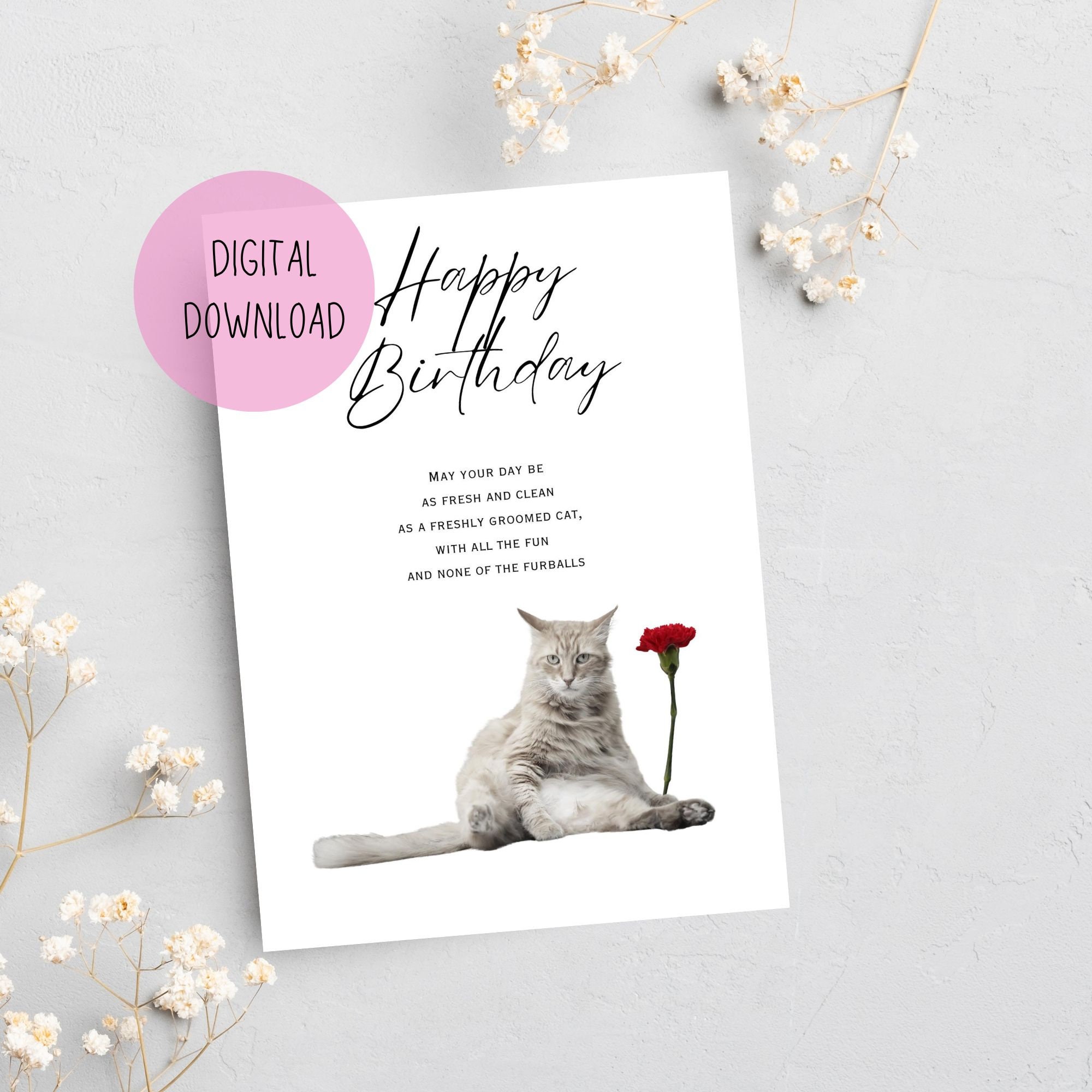 Grumpy Cat Printable Card. Funny Cat Birthday Wishes Instant - Etsy