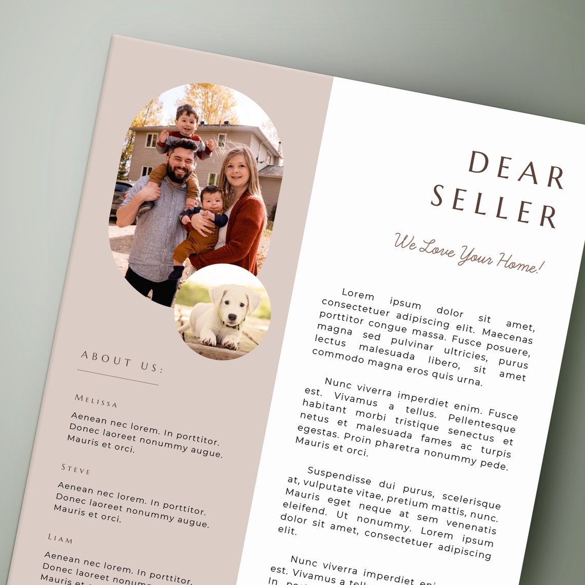 Letter to Seller Template, Home Offer Letter, House Offer Letter, Real