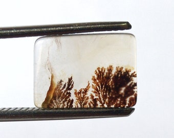 Dendritic Agate Cabochon, Dendritic Agate, Scenic Agate, Dendrite Agate Cabochon, Shazar Agate Cabochon, Cabochon Loose, Dendritic Agate