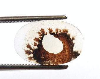 Dendritic Agate Cabochon, Dendritic Agate, Scenic Agate Cabochon, Agate Gemstone, Dendrite Agate, Agate, Loose Gemstone, Scenic Dendrite
