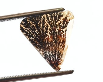 Dendritic Agate Cabochon, Dendritic Agate, Scenic Agate Cabochon, Agate Gemstone, Dendrite Agate, Agate, Loose Gemstone, Scenic Dendrite
