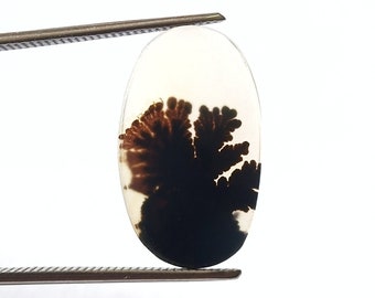 Dendritic Agate Cabochon, Dendritic Agate, Scenic Agate Cabochon, Agate Gemstone, Dendrite Agate, Agate, Loose Gemstone, Scenic Dendrite